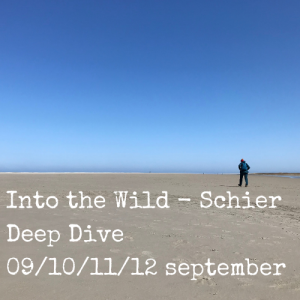 Deep Dive - Schier