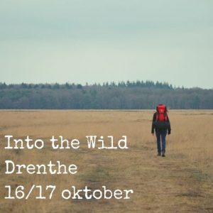 Into the Wild Drenthe
