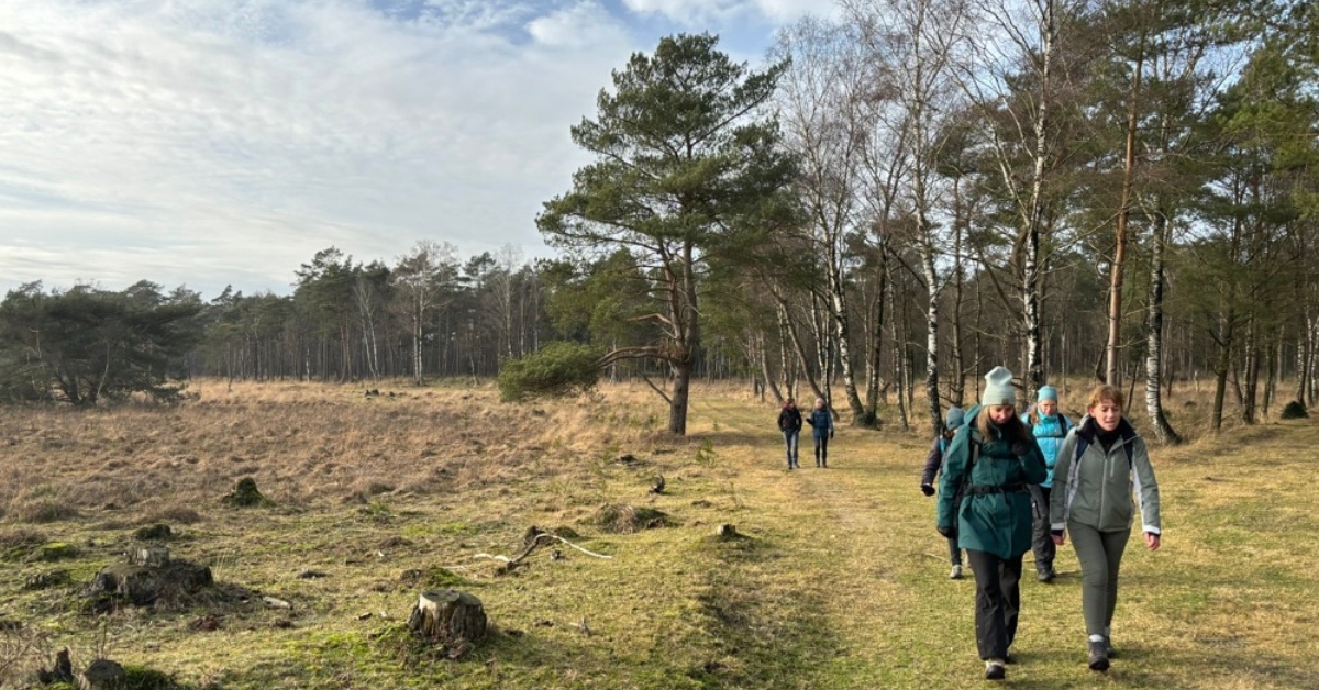 Into the Wild Drenthe, wandelen door de Drentse bossen
