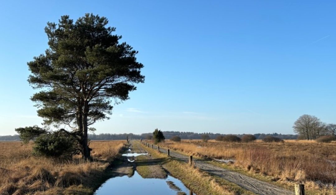 Reisverslag Into the Wild Drenthe januari 2024