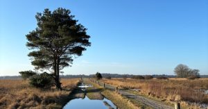 Into the Wild Drenthe, wandelen door de Drentse bossen, buitencoaching