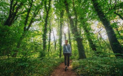 Wat kun je verwachten van een bezinningstocht?