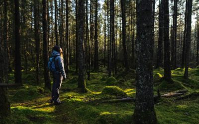 Waarom wandelen werkt als je vastloopt