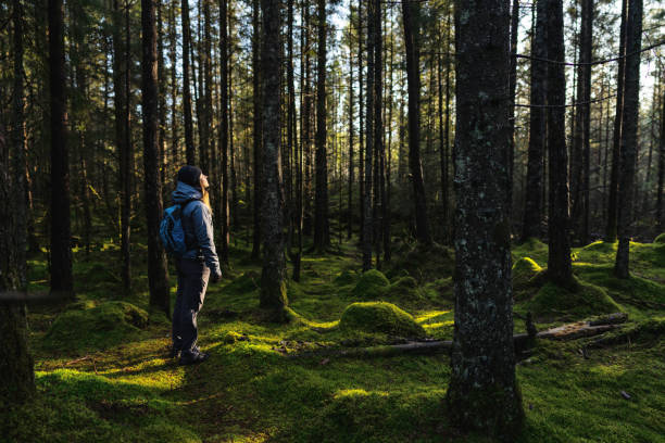 Waarom wandelen werkt als je vastloopt