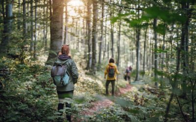 Wat is natuurcoaching?