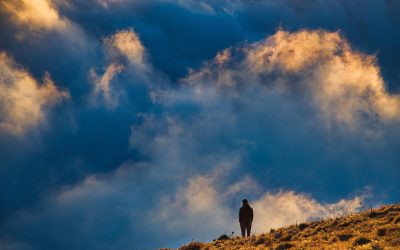 Burn-out als ZZP’er vrouw: waarom de natuur helpt