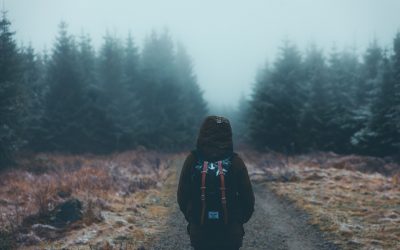 Het verschil tussen bosbaden en natuurcoaching