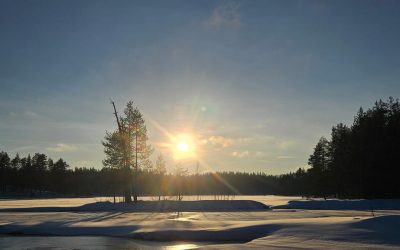 Reisverslag Into the Wild Finland